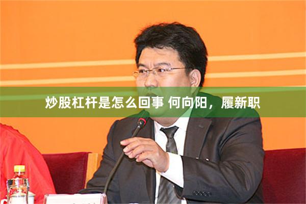 炒股杠杆是怎么回事 何向阳，履新职