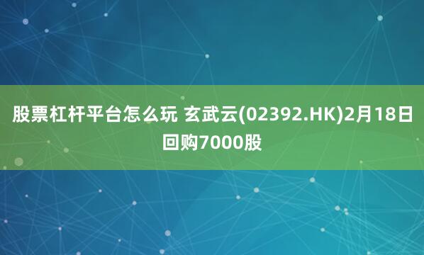 股票杠杆平台怎么玩 玄武云(02392.HK)2月18日回购7000股